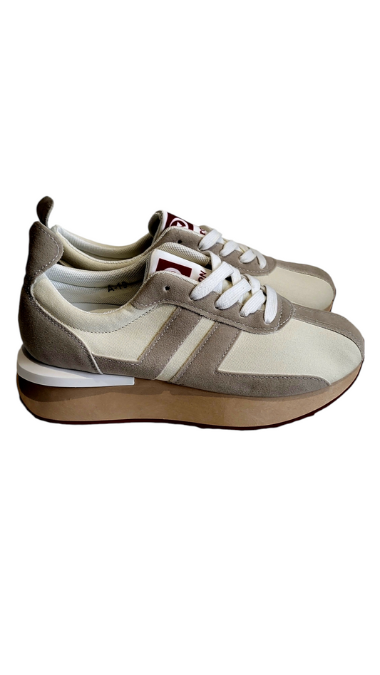 Trainer Sample